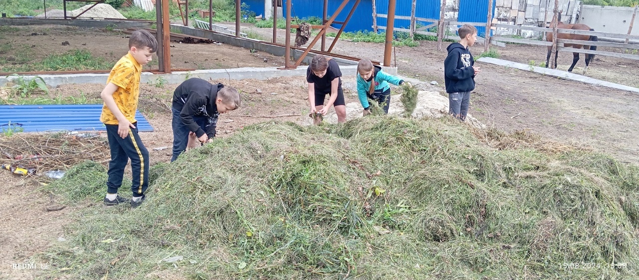 ЦЕНТР ПОМОЩИ ДЕТЯМ, ОСТАВШИХСЯ БЕЗ ПОПЕЧЕНИЯ РОДИТЕЛЕЙ, №1 СТАЛ ОДНИМ ИЗ ЛИДЕРОВ ВО ВСЕРОССИЙСКОЙ АКЦИИ «ДОБРОВОЛЬЦЫ – ДЕТЯМ»