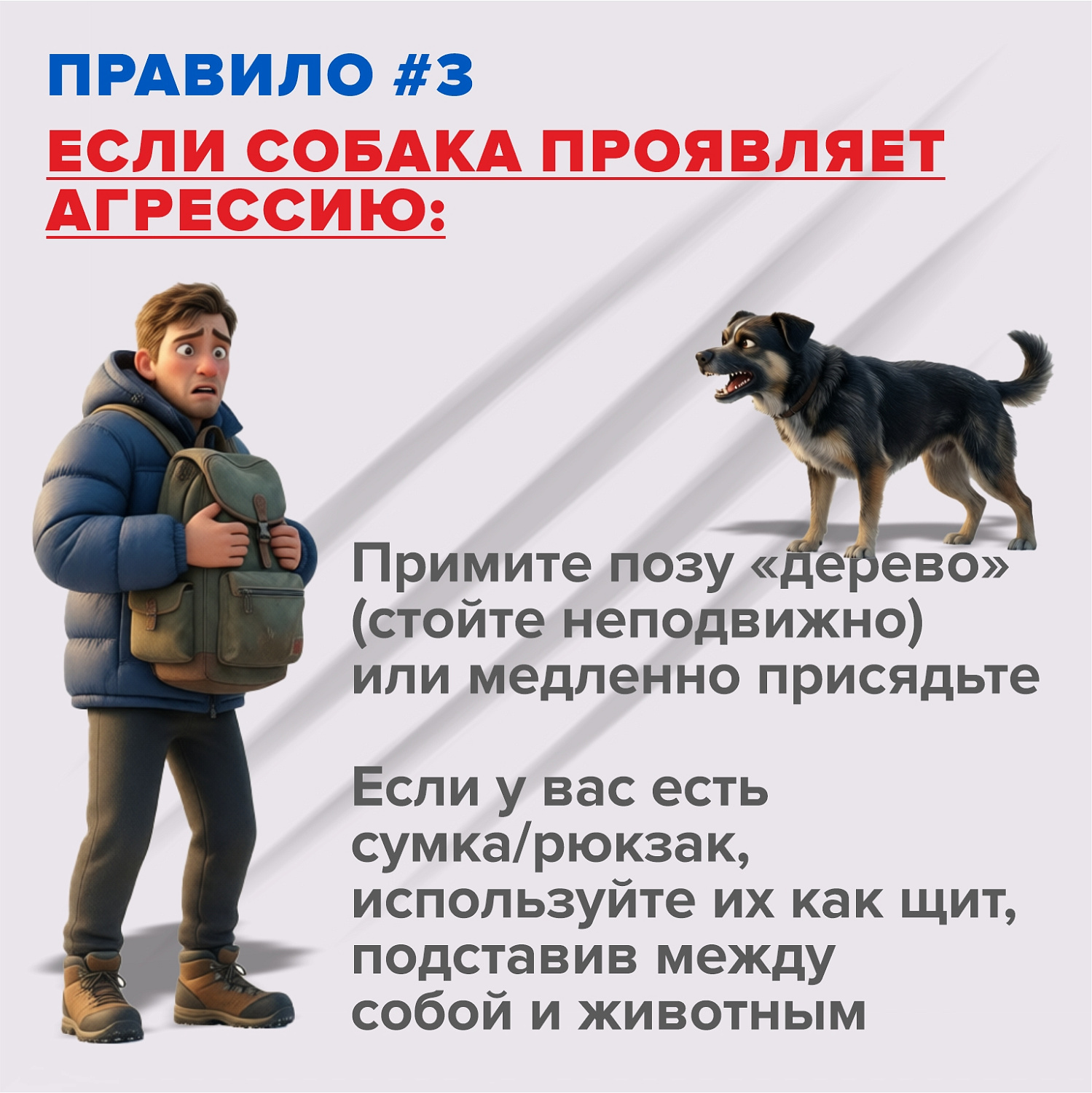 САМОВОЛЬНО ГУЛЯЮЩИЕ СОБАКИ ПРЕДСТАВЛЯЮТ ОПАСНОСТЬ!